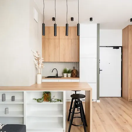 Malila Premium Cracow Rakowicka 437 דירה *