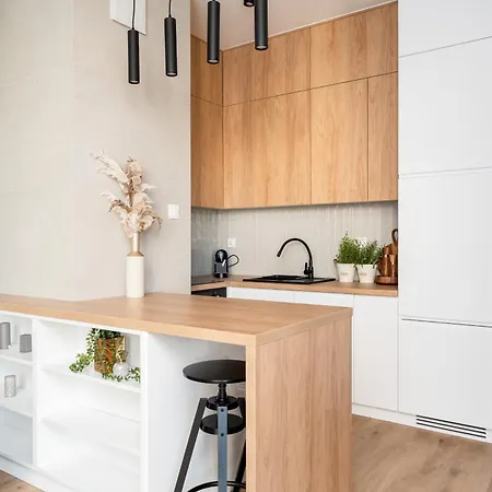 Malila Premium Residence - Cracow Rakowicka 20L Lägenhet Kraków
